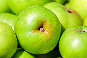 FFA Fruit Sales